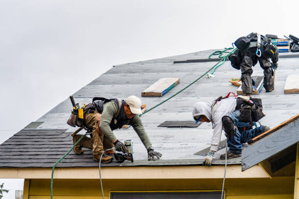 Professional Roofing technician working in Cortland, IL